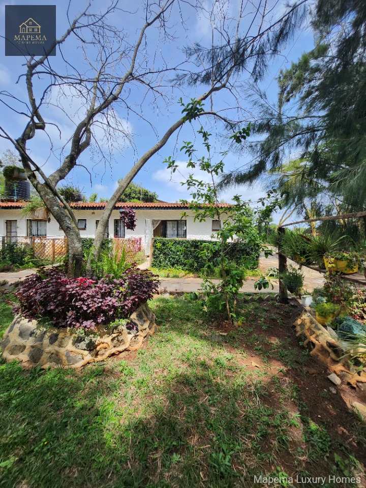 Spacious 1-Bedroom House for Rent in Karen – Bogani Road