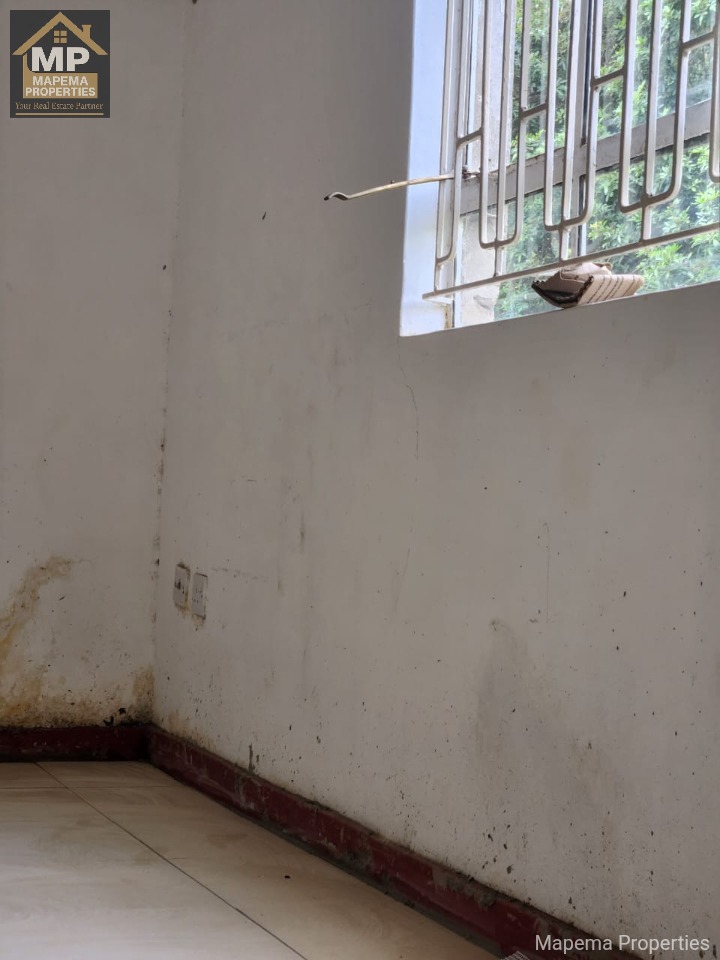 Spacious 1-Bedroom Standalone House for Rent in Karen – Bogani Road