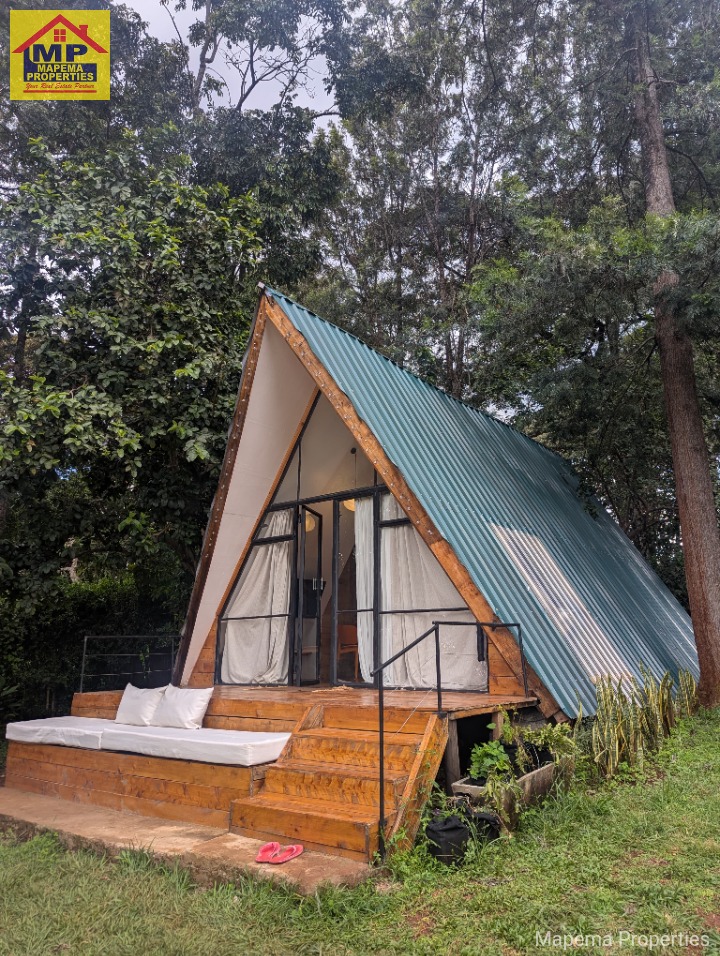 House for rent at Tree lane, Karen, Nairobi, Kenya