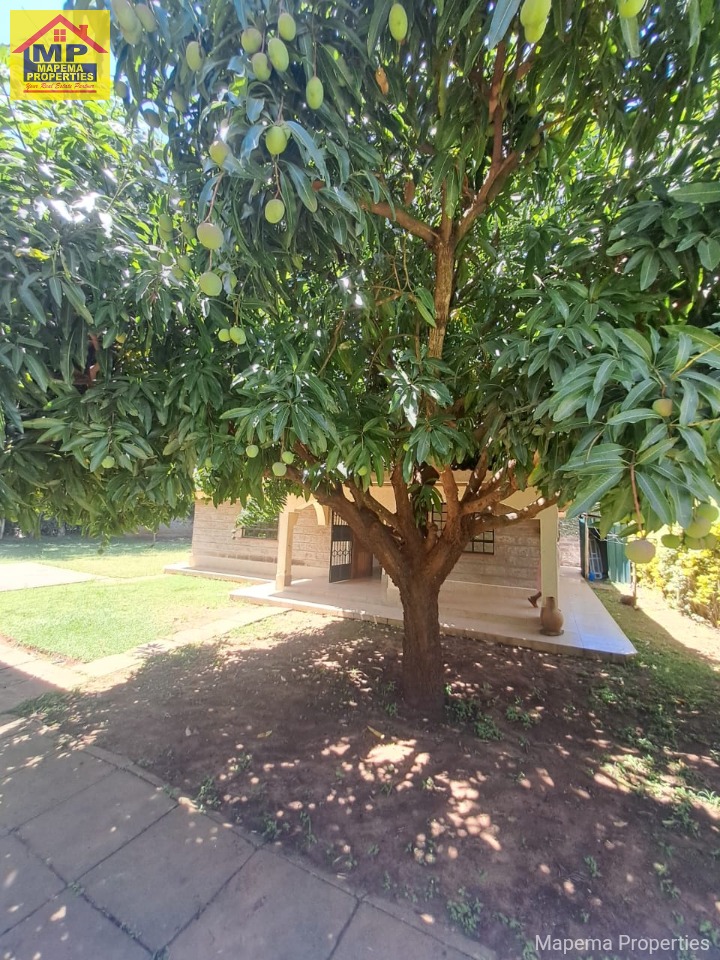 House for rent at Ndovu lane, Karen, Nairobi, Kenya