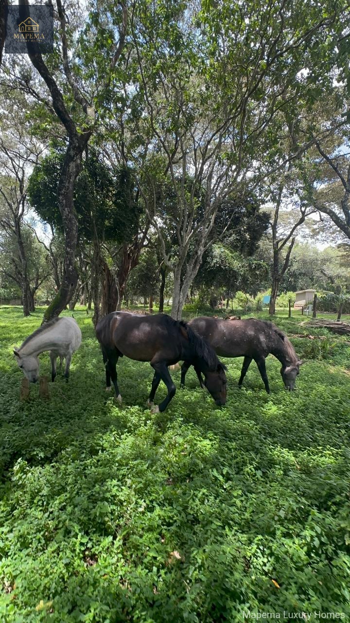 2 bedroom house for rent in Karen