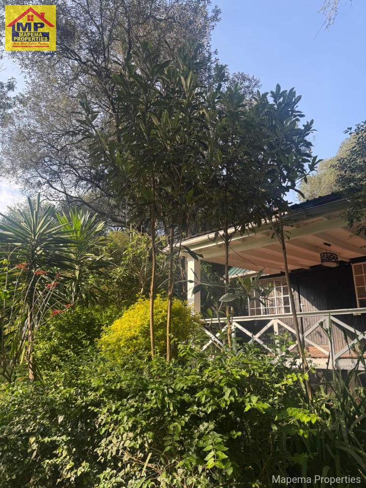 House for rent at Karen road, Karen, Nairobi, Kenya