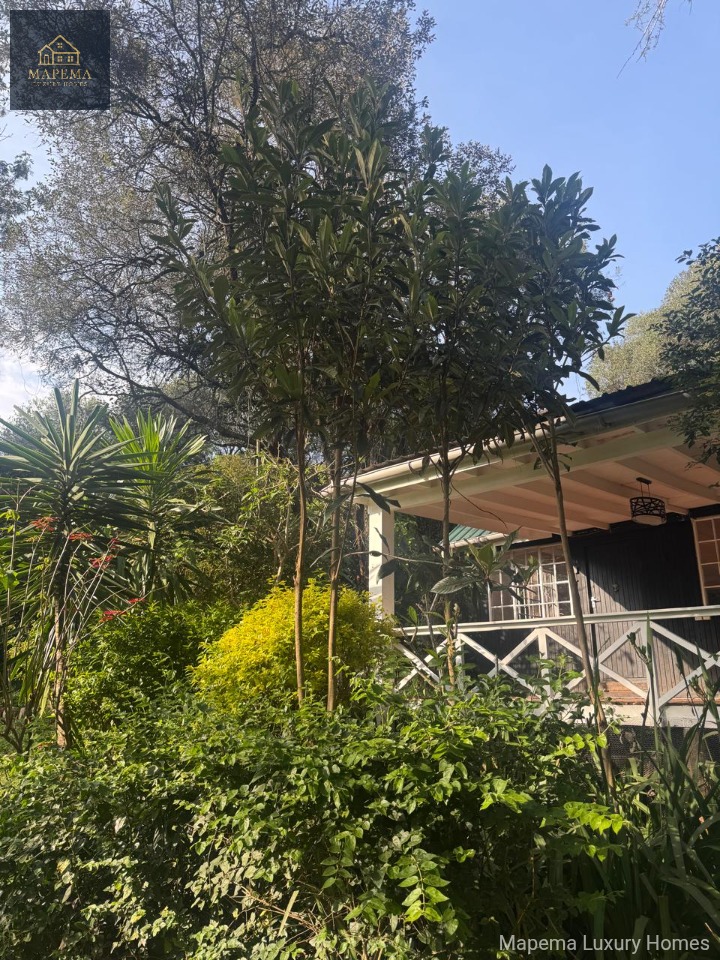 House for rent at Karen road, Karen, Nairobi, Kenya