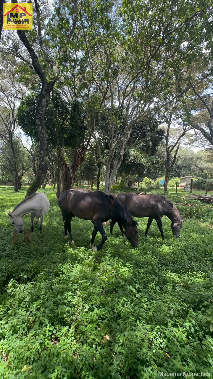 2 bedroom house for rent in Karen