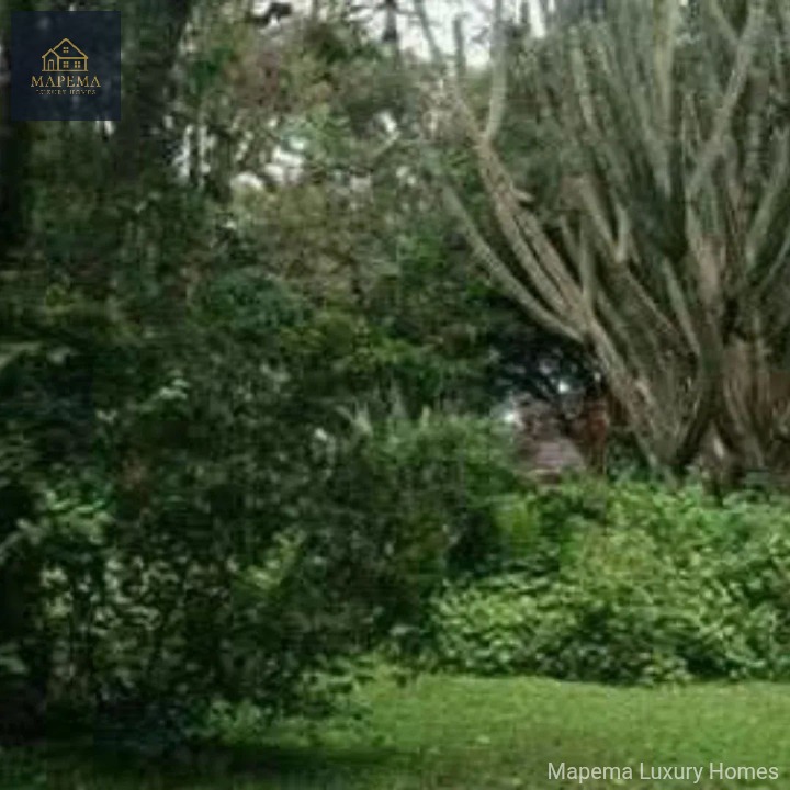 2.6 Acres for Sale – Windy Ridge, Karen