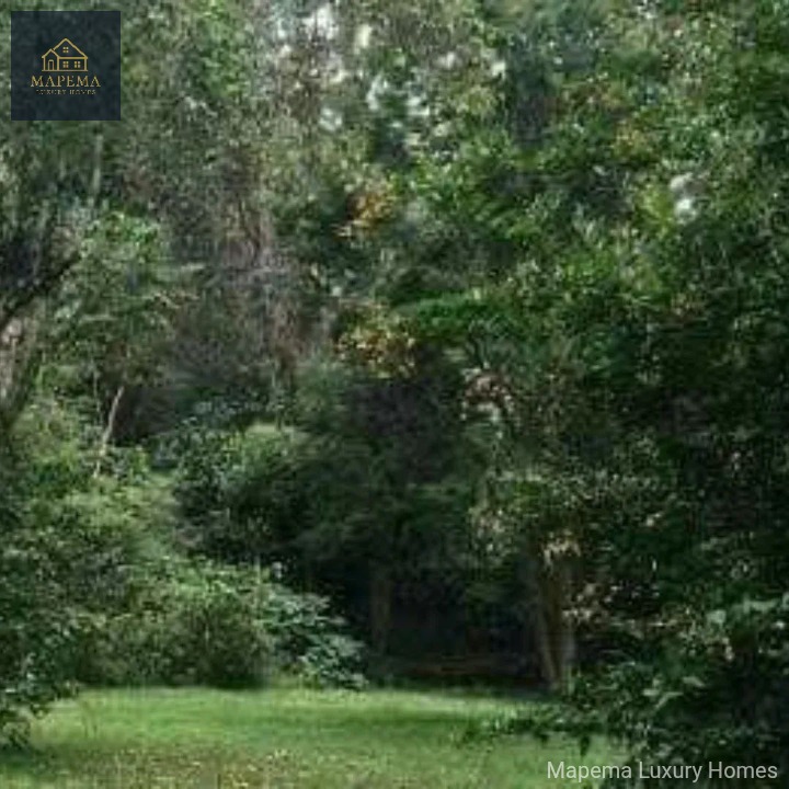 2.6 Acres for Sale – Windy Ridge, Karen