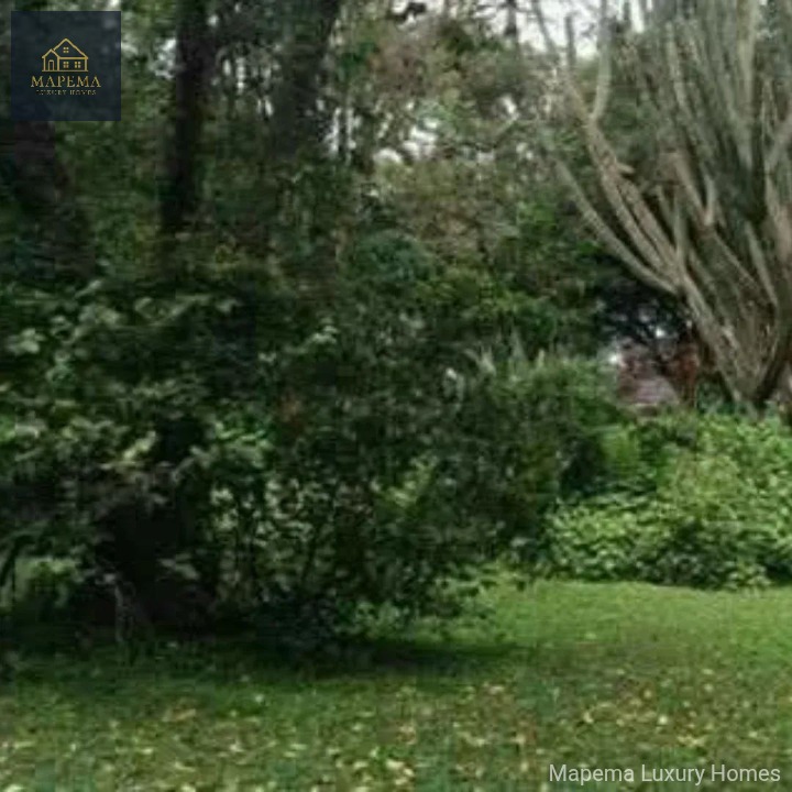 2.6 Acres for Sale – Windy Ridge, Karen