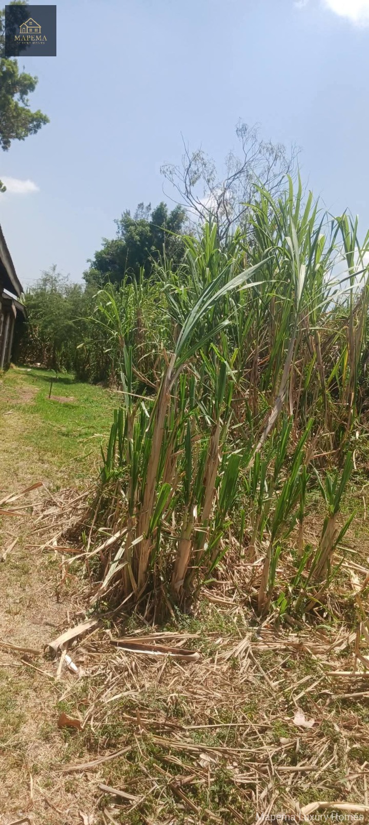 5 acres for sale in karen