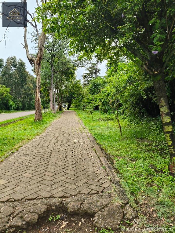 Land_plot for sale at Ndovu lane, Karen, Nairobi, Kenya