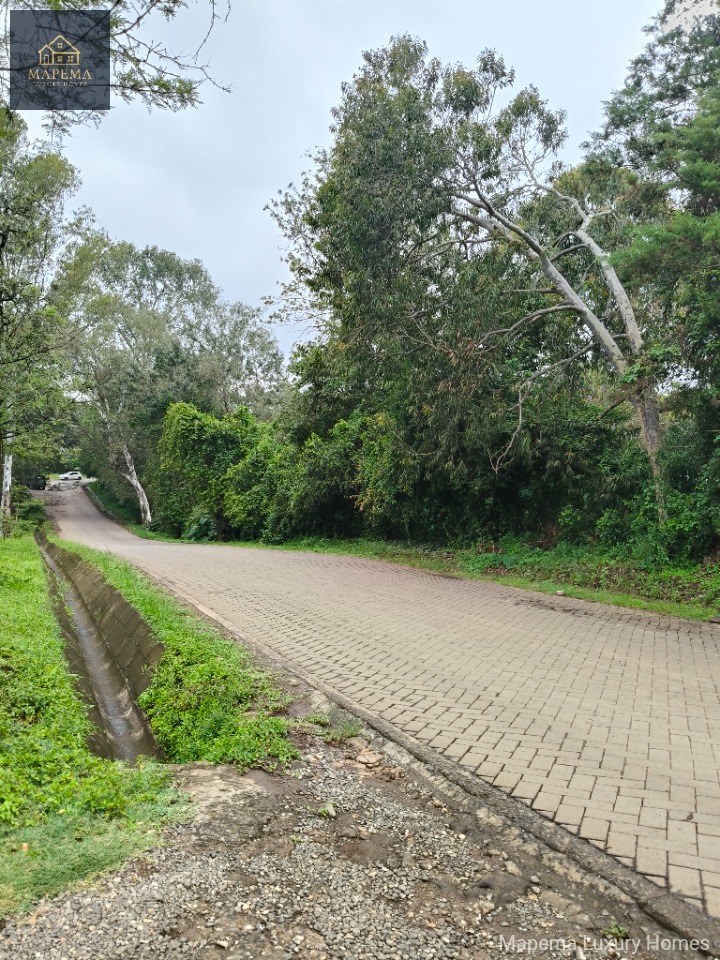 1 acre land for sale in Karen ndovu road/lane