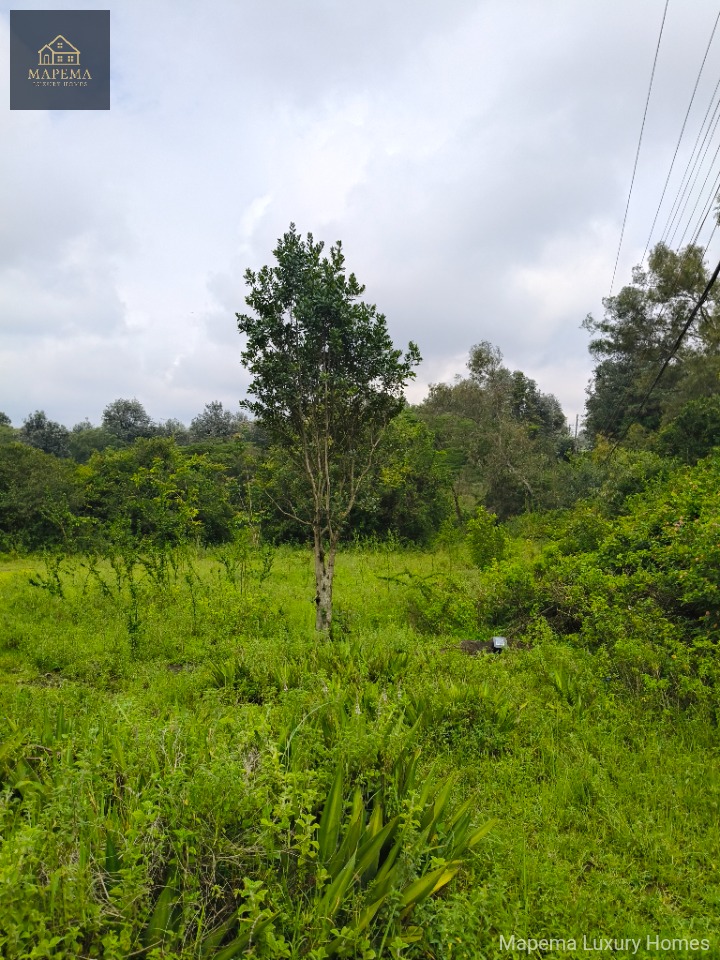 1 acre land for sale in Karen ndovu road/lane