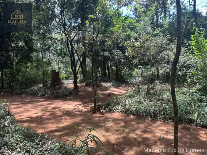 Prime 5 Acres for Sale – Karen Ndege Road