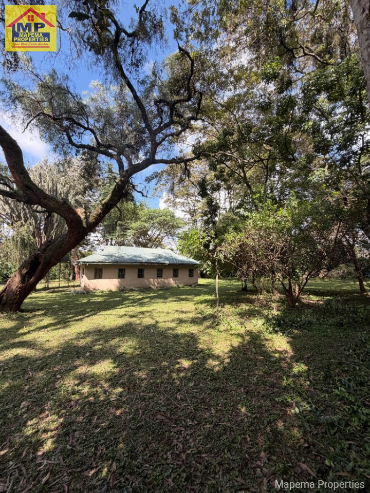 1 Acre Prime Land for Sale – Karen Bomas