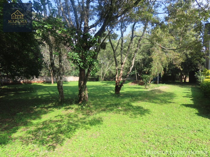 Commercial Office Space for Rent – Karen Marula Lane, Nairobi, Kenya
