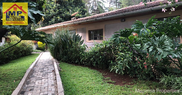 Fully Furnished 1 Bedroom House for Rent ā Miotoni Road, Karen