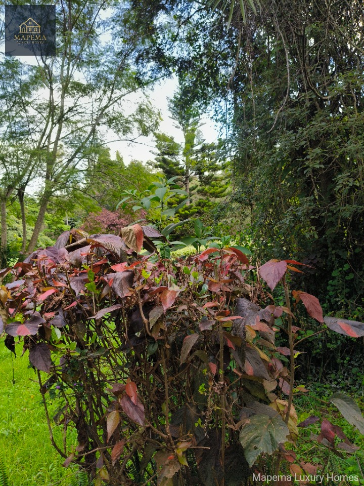 Prime Karen Hardy Residence on 2.57 Acres β Tumbili Road, Karen, Nairobi