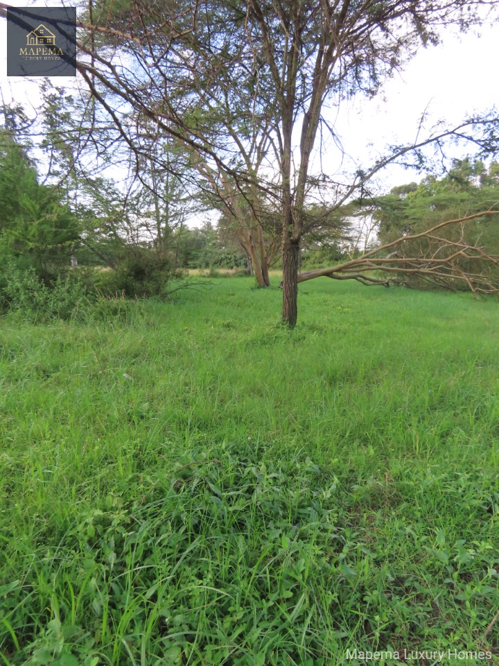 1/2 Acre Prime Land for Sale in Bogani East, Karen, Nairobi | Mapema Luxury Homes
