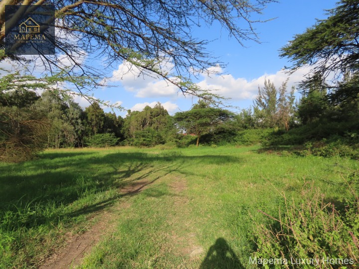 1/2 Acre Prime Land for Sale in Bogani East, Karen, Nairobi | Mapema Luxury Homes