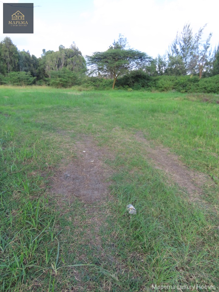 1/2 Acre Prime Land for Sale in Bogani East, Karen, Nairobi | Mapema Luxury Homes