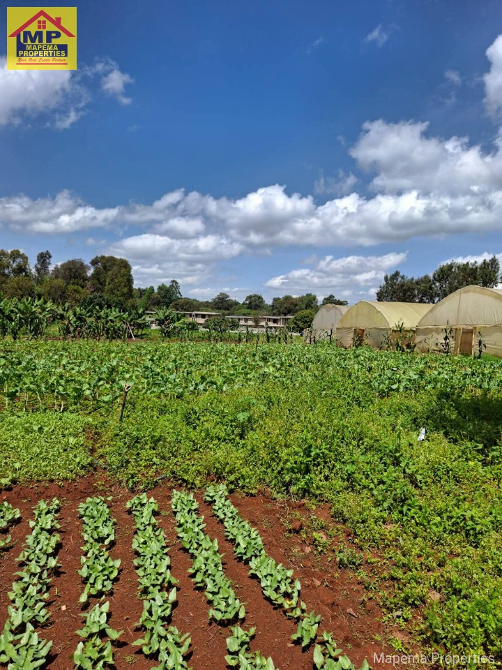 🌿 Prime Half-Acre Plots for Sale | Windy Ridge, Karen