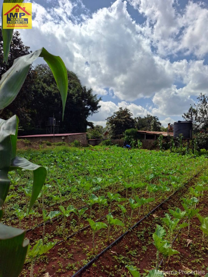 🌿 Prime Half-Acre Plots for Sale | Windy Ridge, Karen