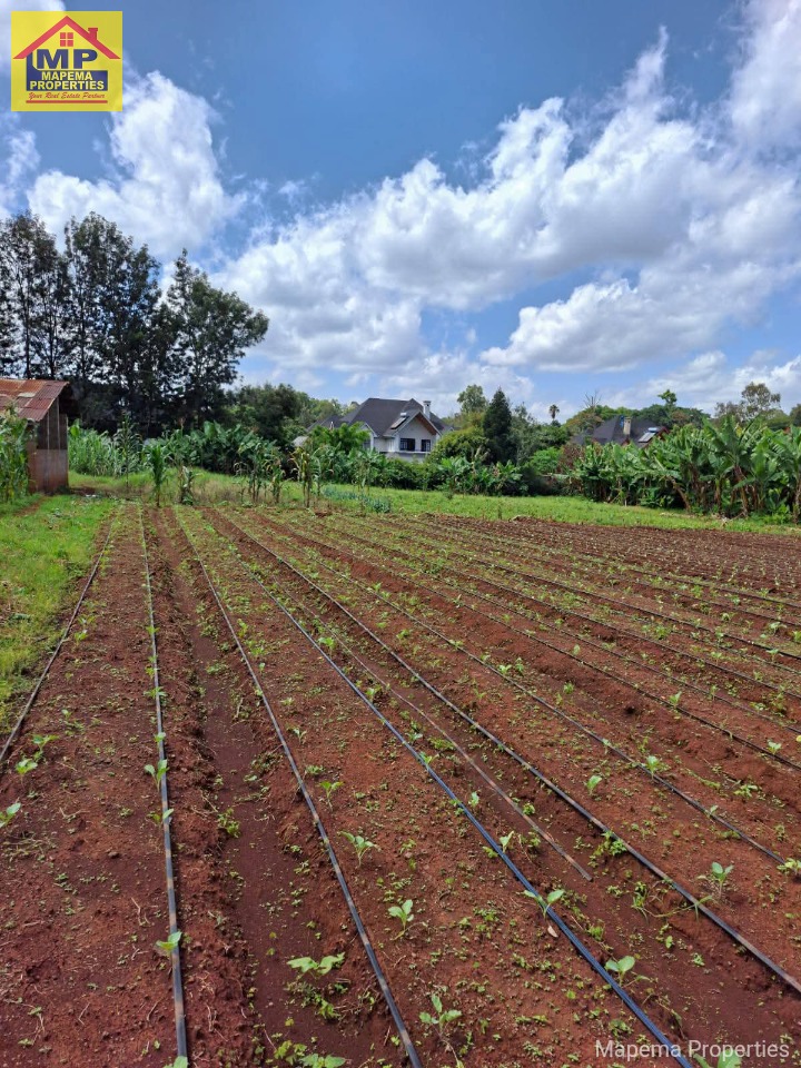 🌿 Prime Half-Acre Plots for Sale | Windy Ridge, Karen
