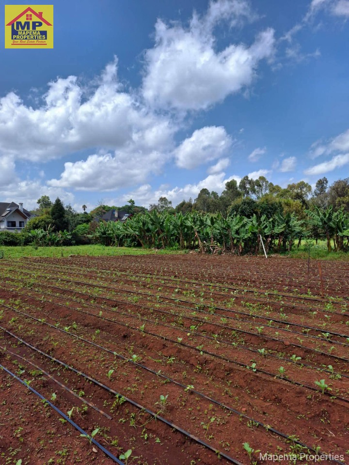 🌿 Prime Half-Acre Plots for Sale | Windy Ridge, Karen