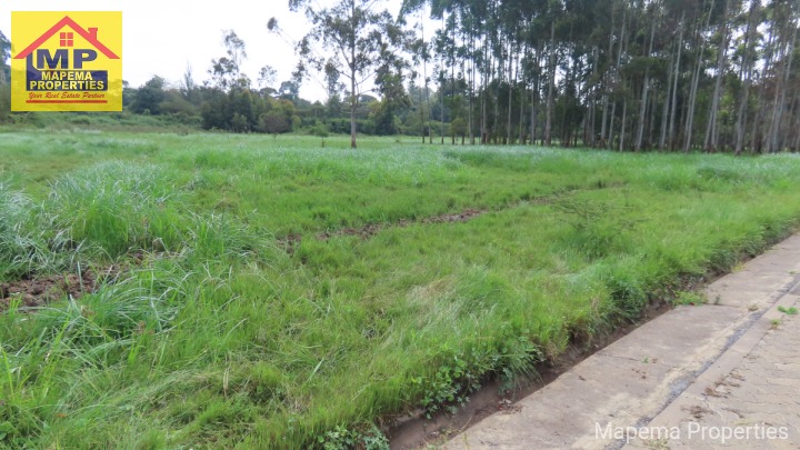 🌿 Prime 1.87 Acres for Sale | Karen, Nairobi