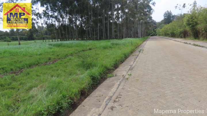 🌿 Prime 1.87 Acres for Sale | Karen, Nairobi
