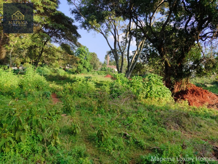 🌿 Prime Plot for Sale – St. Helen Lane, Karen