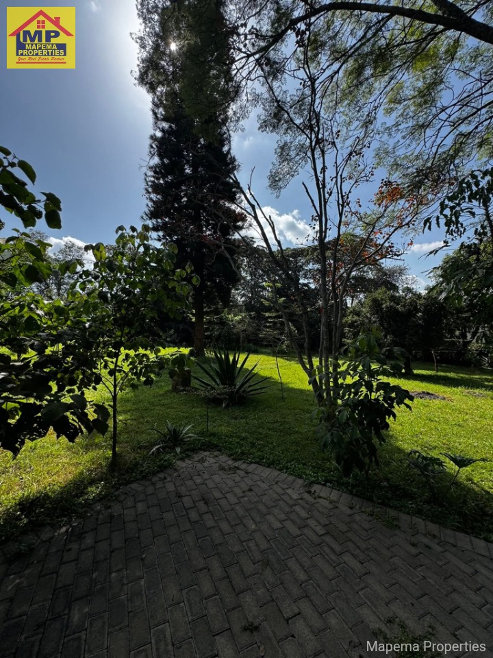 Prime 2-Acre Land for Sale in Hardy, Karen