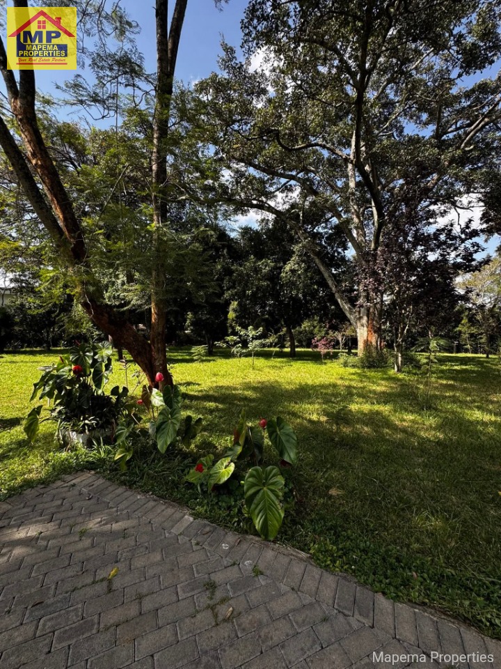 Prime 2-Acre Land for Sale in Hardy, Karen