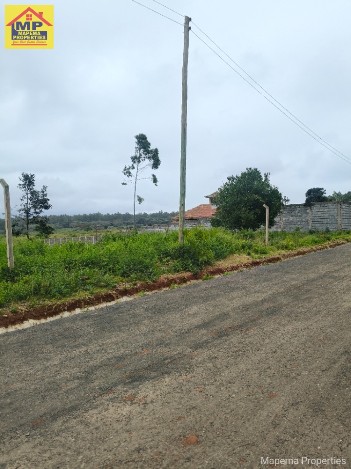 Prime ¼ Acre Plot for Sale – Kerarapon Drive 14 West, Karen