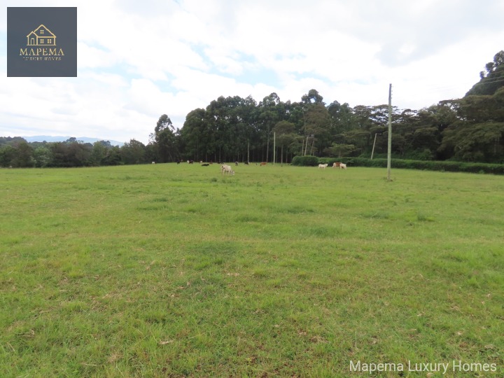 Prime 13.79-Acre Development Land for Sale – Karen, Nairobi