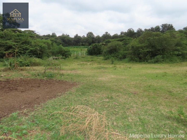 Prime 1-Acre Riverfront Land for Sale – Ndovu Road, Karen