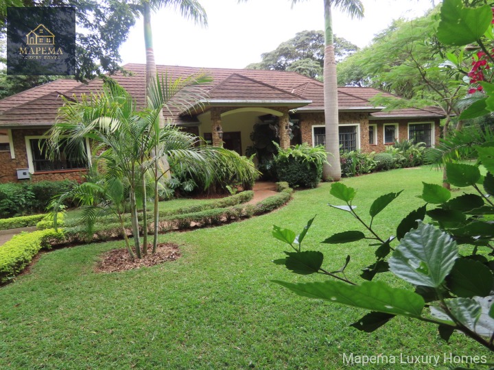 3 Bedroom Bungalow for Rent in Karen – Windy Ridge.