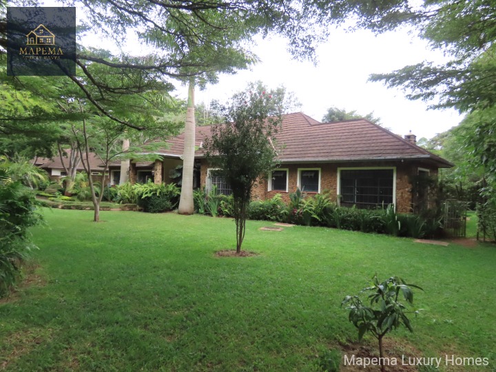 3 Bedroom Bungalow for Rent in Karen – Windy Ridge.