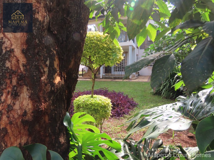Luxury 2 Bedroom Apartment for Rent in Karen – Windy Ridge