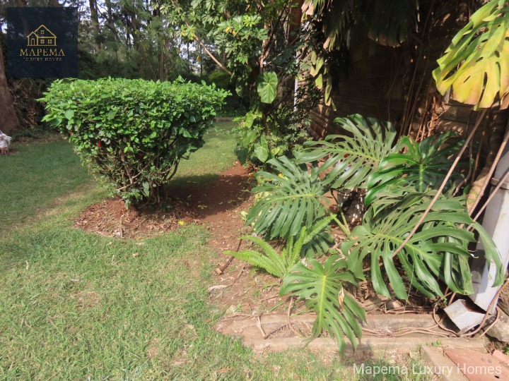 2 Bedroom House for Rent – Karen, Silanga Road