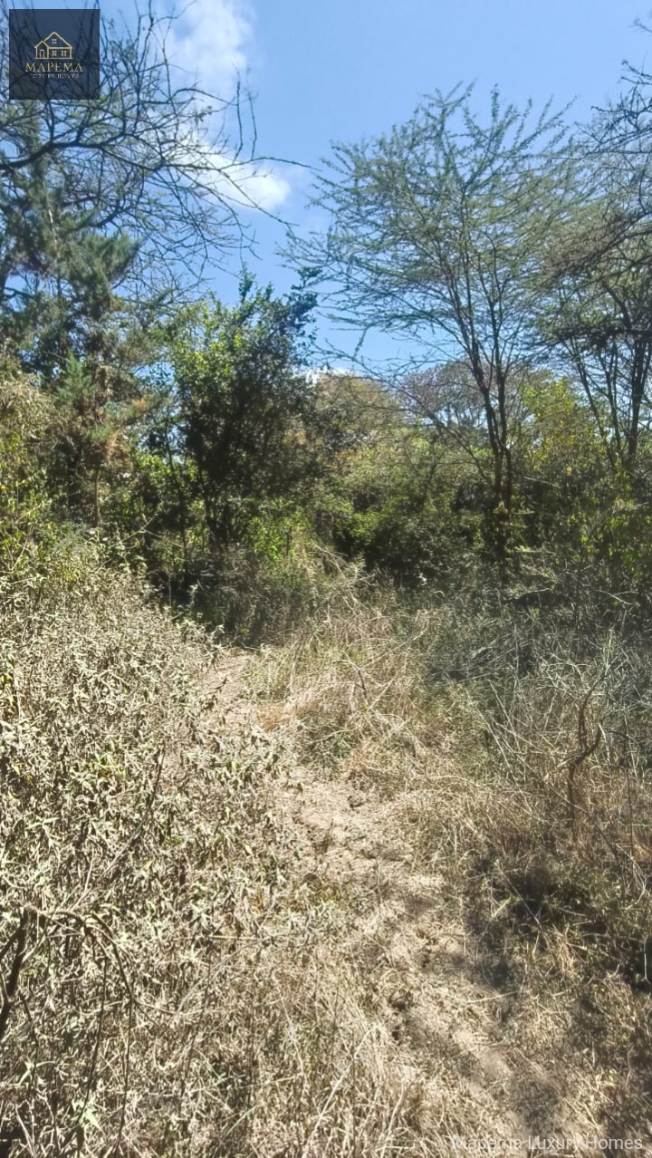 Prime 1.19-acre residential property for sale in the sought-after Mukoma/Kikeni Road area of Karen.