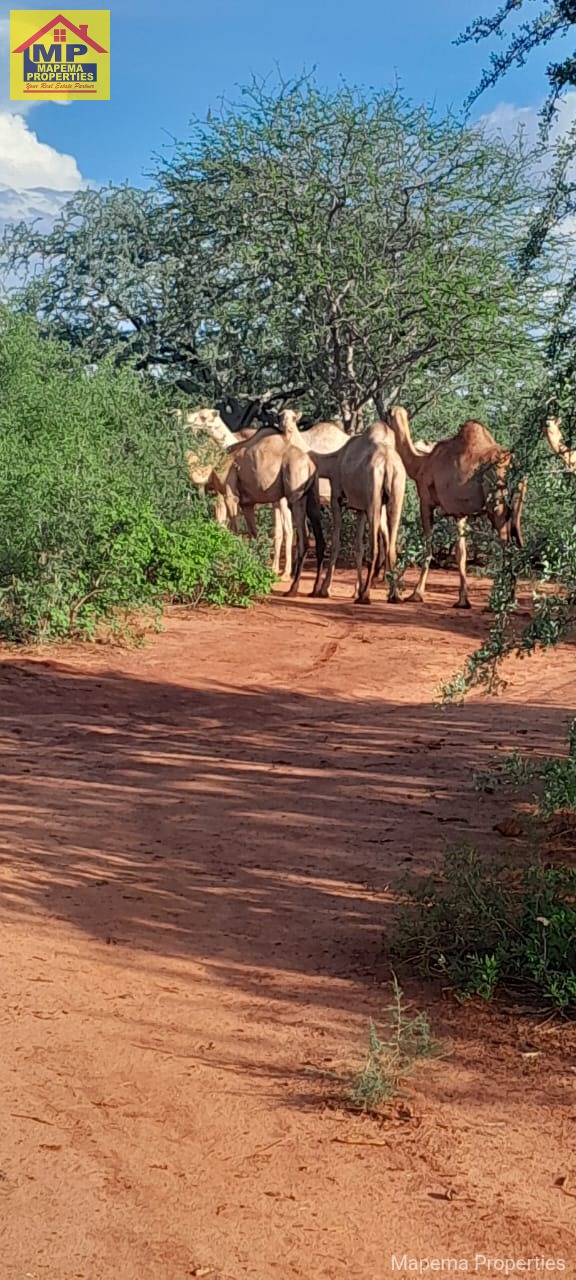 4,000 ACRES OF LAND FOR SALE | KITUI COUNTY ā MUTHA AREA