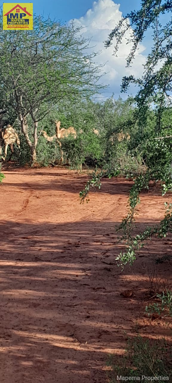 Land_plot for sale at mutha,kitui county