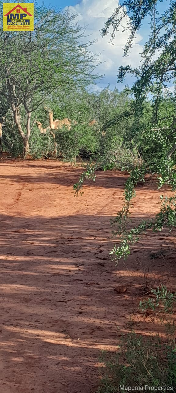 4,000 ACRES OF LAND FOR SALE | KITUI COUNTY ā MUTHA AREA