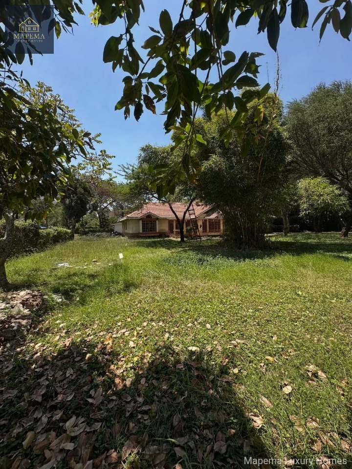 4 Bedroom Bungalow + DSQ for Rent in Karen Bomas – Ideal for a Silent Office