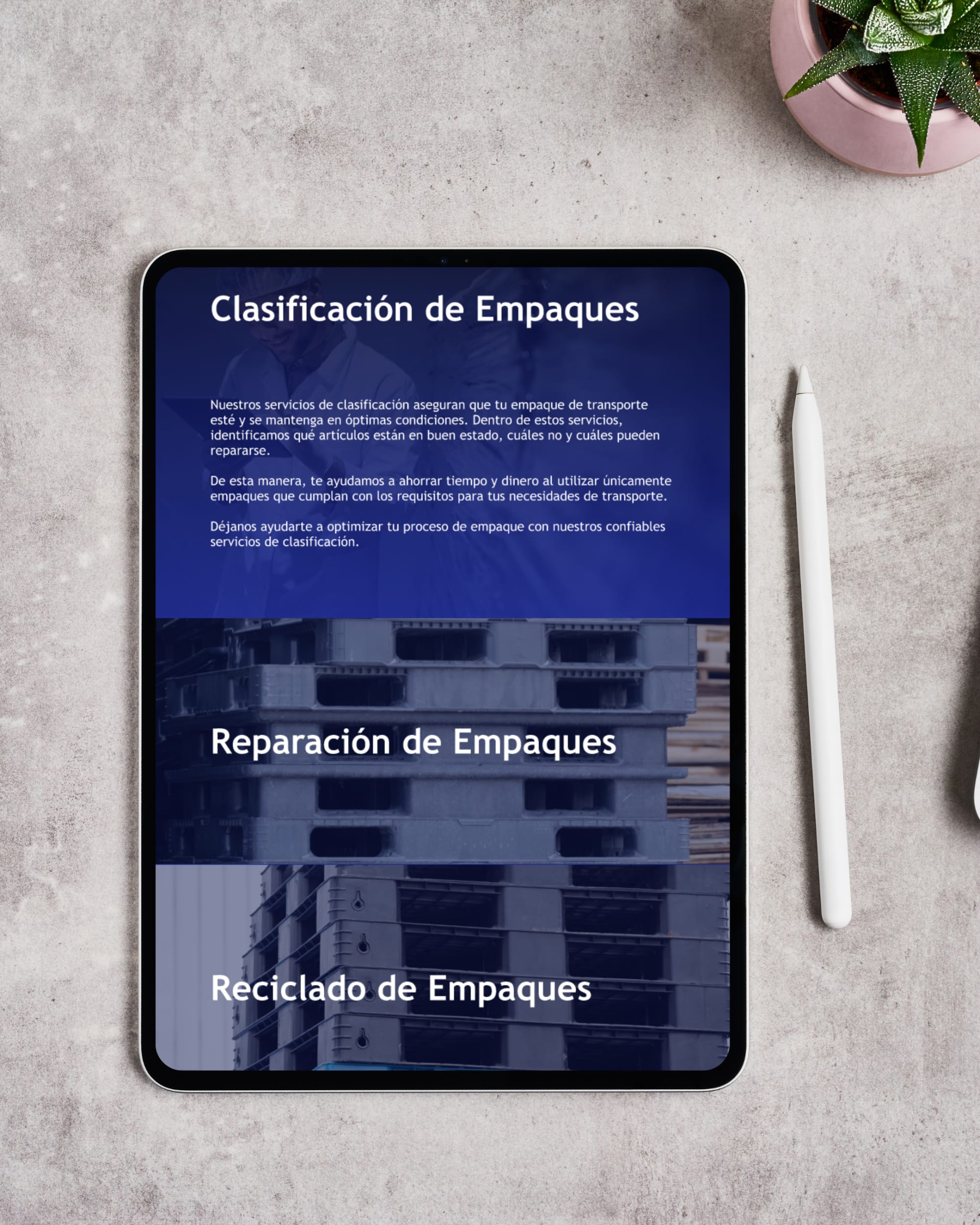 Complete Transpack Solutions México