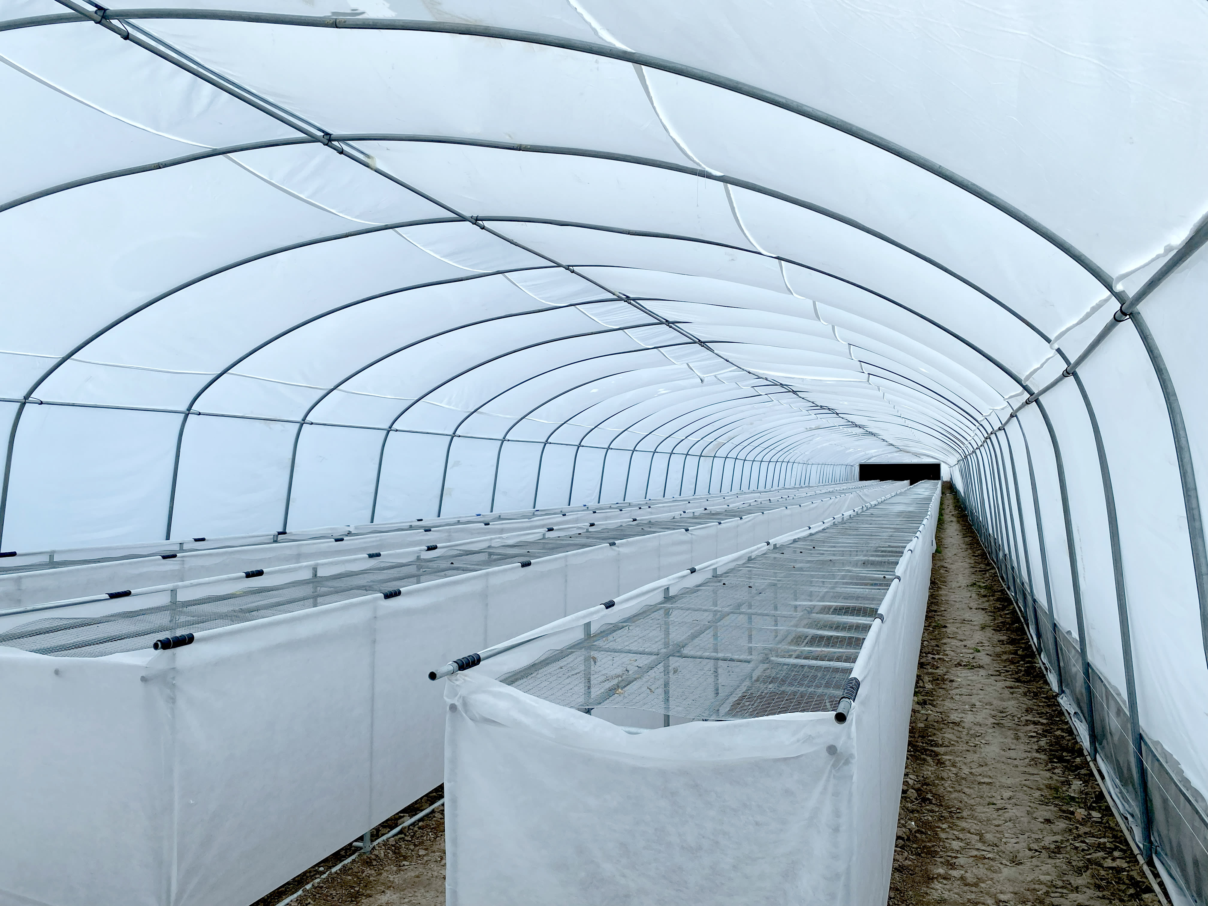 Surxondaryo Agro Majmuasi