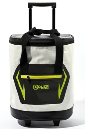 Nevera Portátil con Ruedas 30L, Gris - Ideal para Viajes y Picnics