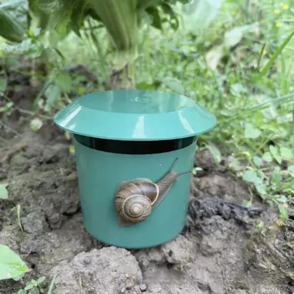 Trampa para Caracoles y Babosas | Control Plagas Jardín