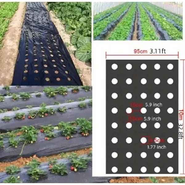 Plástico Negro de Alta Calidad para Cobertura de Cultivos, Ideal para Protección de Plantas en Invernaderos