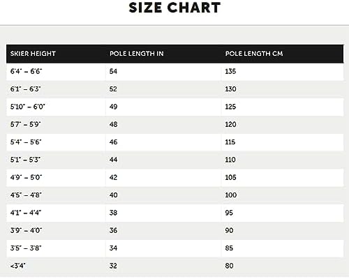 Vue 4 de Volkl Batons De Ski